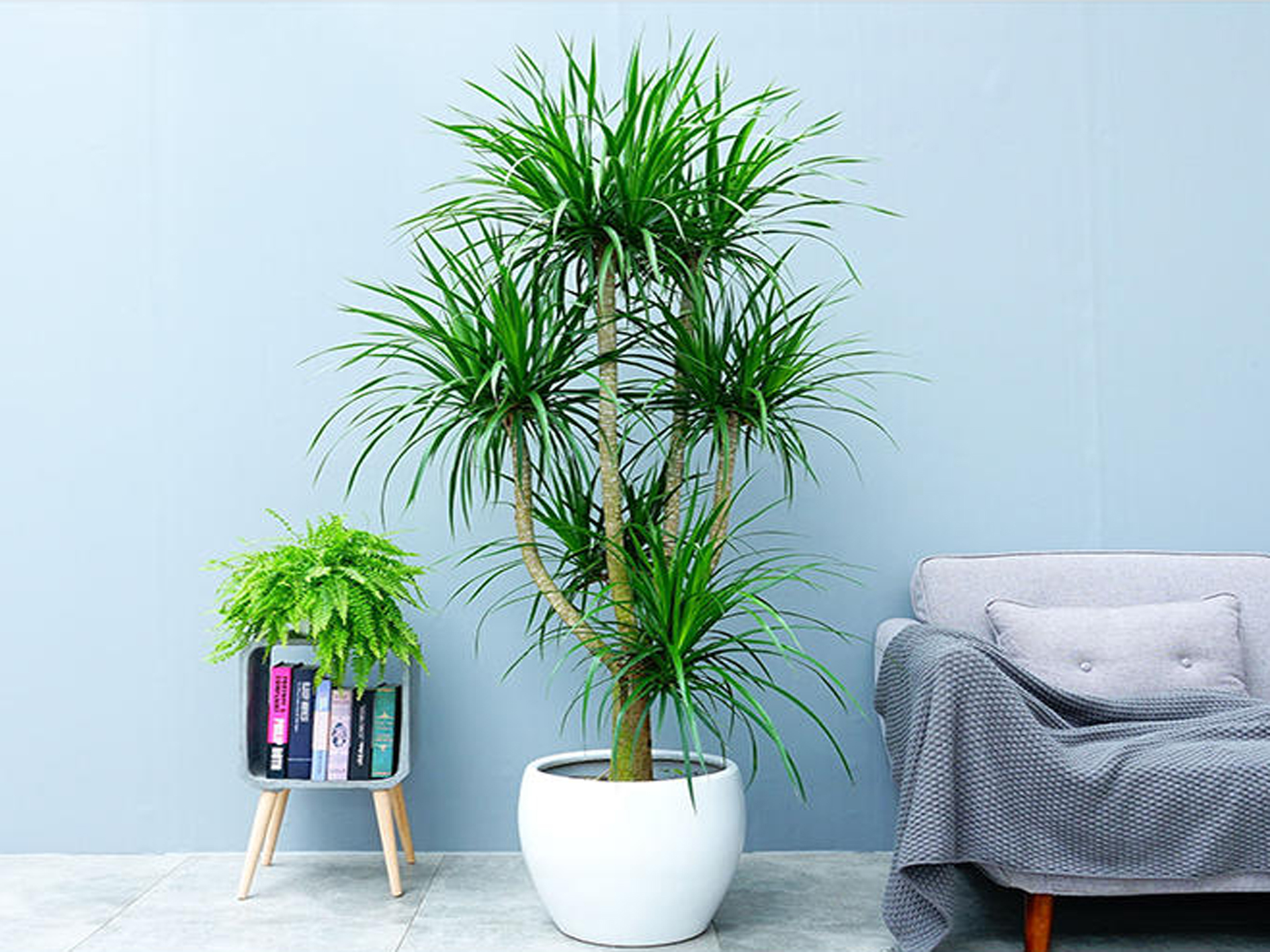 未标题-1.jpg 未标题-1.jpg