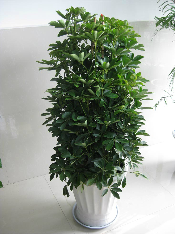 20160309_IMG_0751.PNG 20160309_IMG_0751.PNG