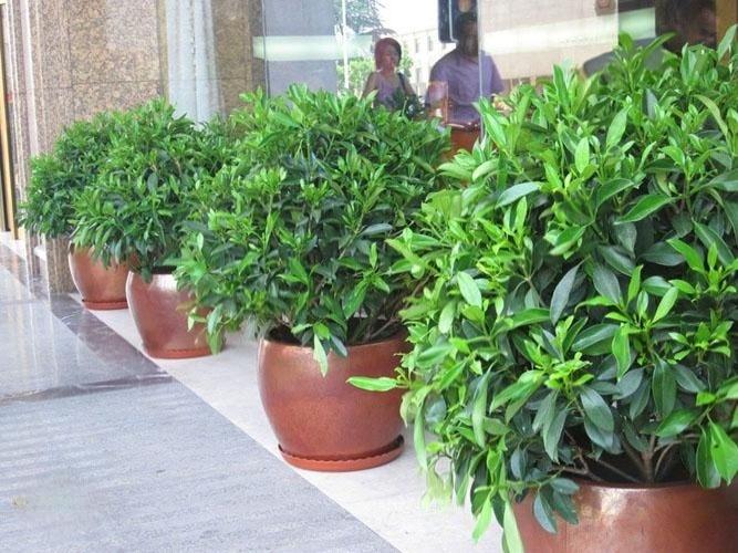 2012060735600112.jpg 2012060735600112.jpg