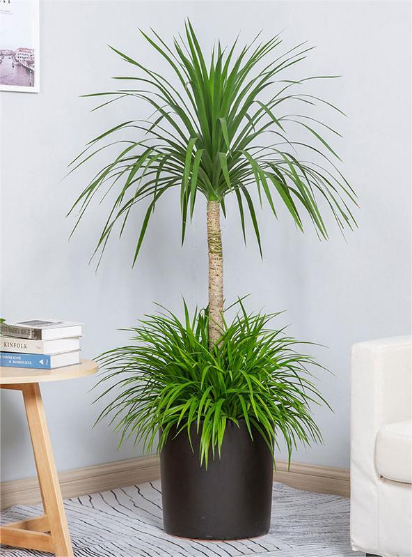 O1CN01Ujp0i21omnBSorbYo_!!764245268.jpg O1CN01Ujp0i21omnBSorbYo_!!764245268.jpg