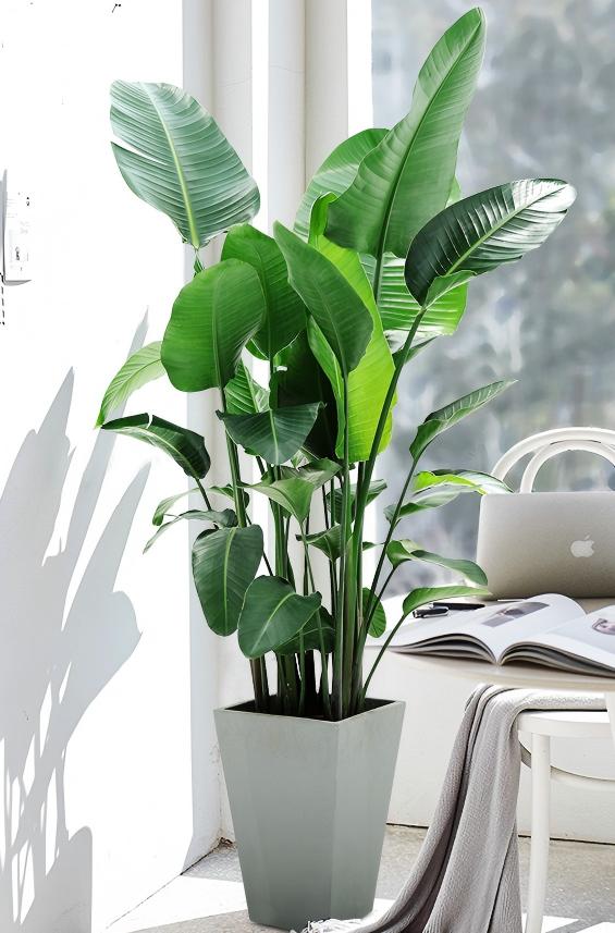 O1CN01deKewi2CucdOyh5YP_!!2204173348534.jpg O1CN01deKewi2CucdOyh5YP_!!2204173348534.jpg