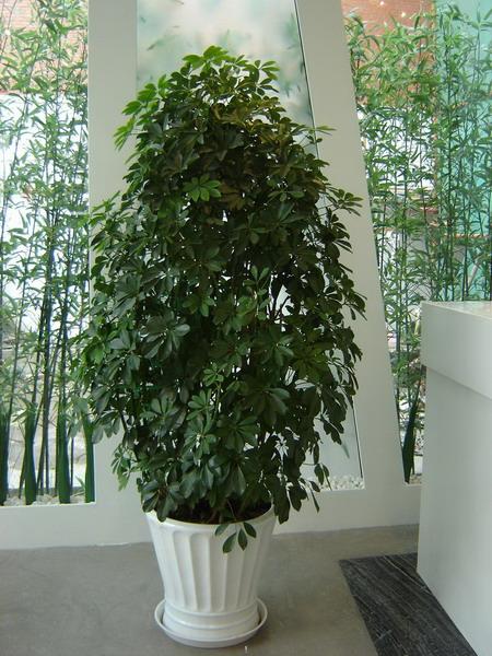 3120552940I.jpg 3120552940I.jpg