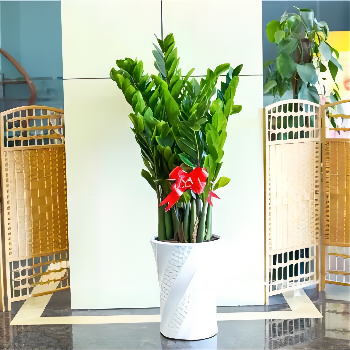 u=3312409546,4026103090&fm=224&fmt=auto&gp=0.jpg u=3312409546,4026103090&fm=224&fmt=auto&gp=0.jpg