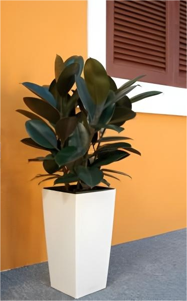 捕获.PNG 捕获.PNG