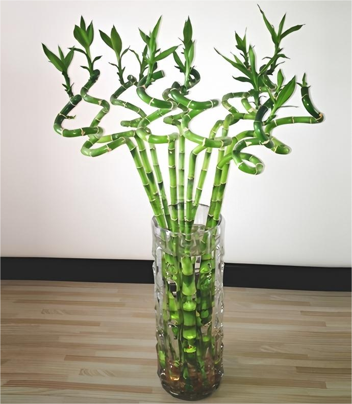 捕获2.PNG 捕获2.PNG